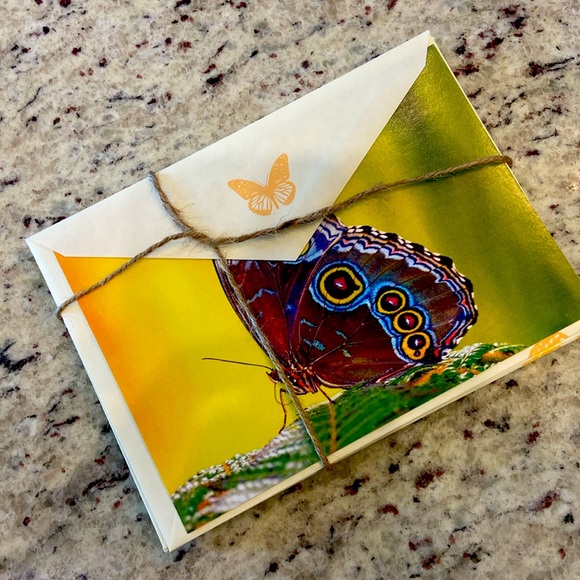 Butterfly Note Card Set of 8 - Picture 2 of 2